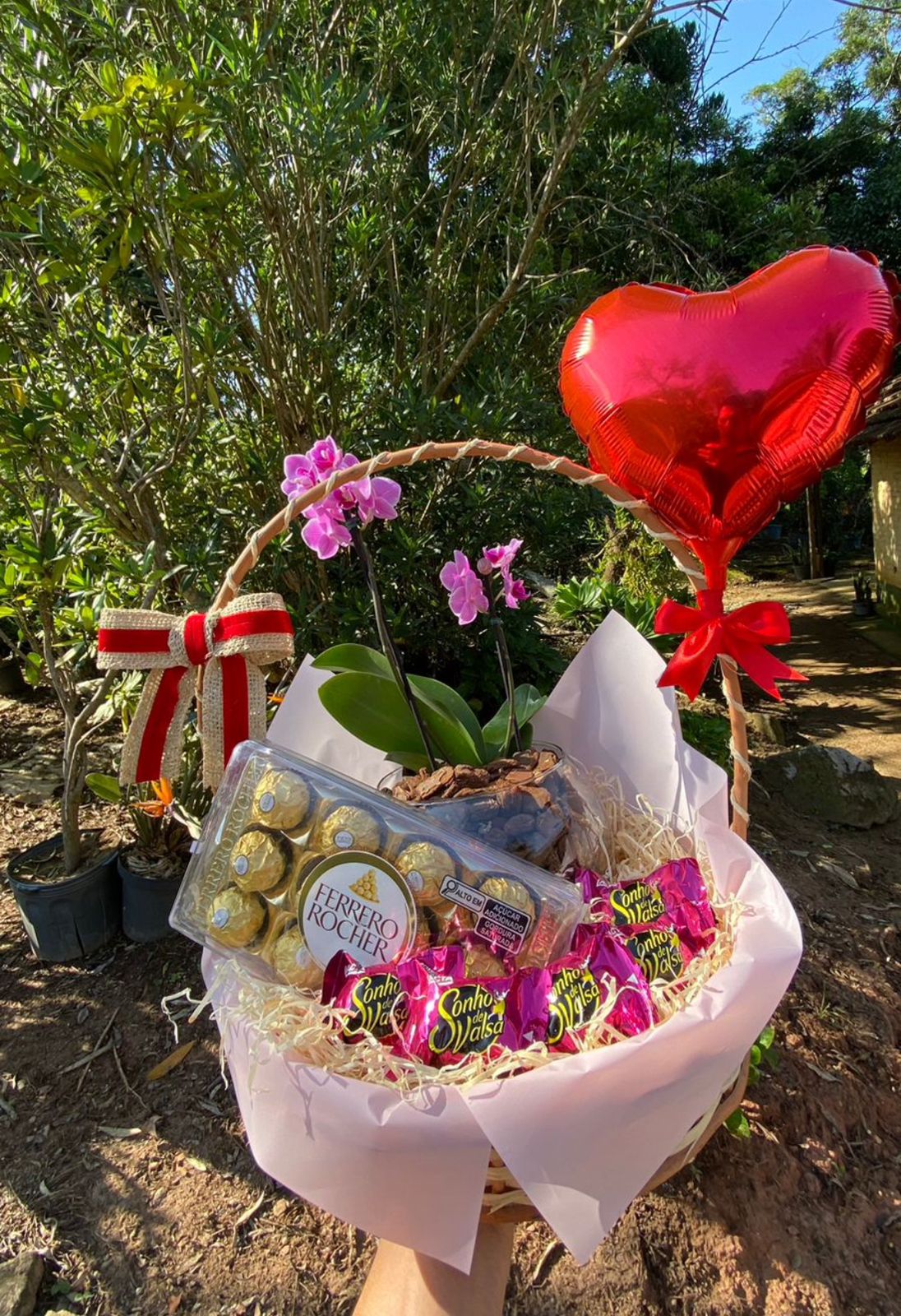 Cesta com orquídeas
